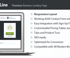 Bottom Line – Premium Business Landing Page