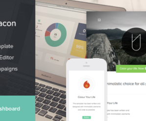 Beacon – StampReady Email Template