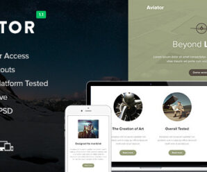 Aviator – Responsive Email + Themebuilder Access