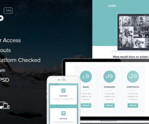 Corp – Responsive Email + Themebuilder Access