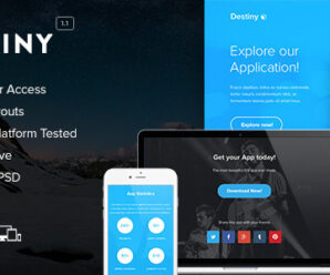 Destiny – Responsive Email + Themebuilder Access