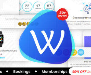 WooPro | WooCommerce Responsive Email Template + Subscriptions + Bookings + Memberships Compatible