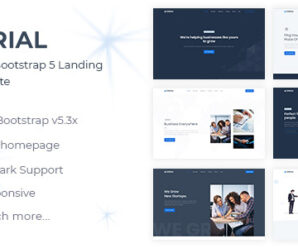 Zorial – Landing Page Template