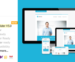 Arini, Responsive Newsletter with Template Builder