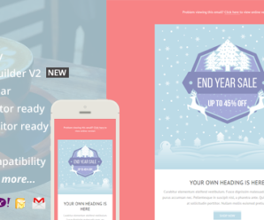 Promo, Holiday Email Template + Builder Access