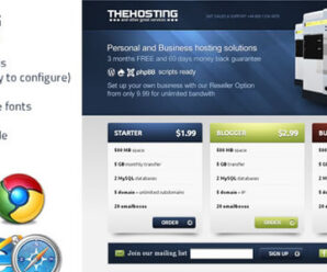 The Hosting – Landing Page