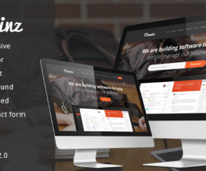 Meminz Download Software Landing Page