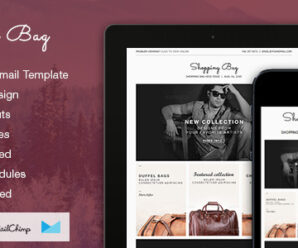 Shopping Bag – Responsive Ecommerce Email Template