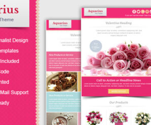 Valentine Email Marketing & Newsletter Template