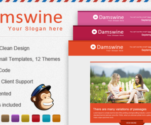 Damswine E-mail Template