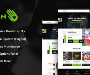 Pain – Charity & Nonprofit WordPress Theme