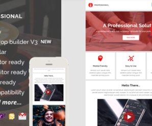 Professional, E-mail Newsletter Pack