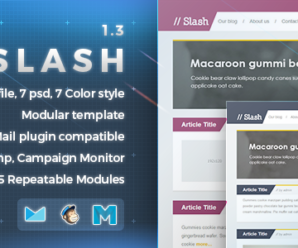 Slash – Responsive E-mail Template