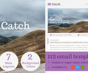 Catch Email Template