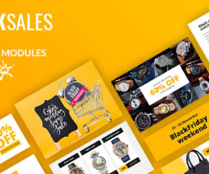 BlackSales Email-Template + Online Builder