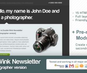 Double Wink Newsletter (Photographer Version)