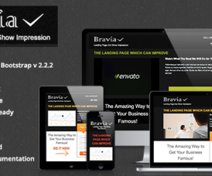 Bravia Landing Page