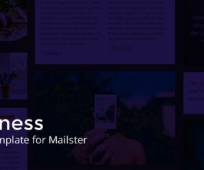 Business – Email Template for Mailster