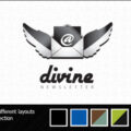 Divine Newsletter – Email Templates