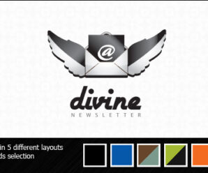 Divine Newsletter – Email Templates