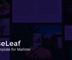 LooseLeaf – Email Template for Mailster