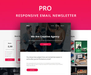 Pro – Agency Email Newsletter Template