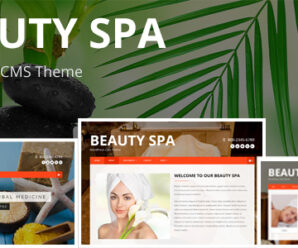 Beauty SPA – WordPress  CMS Theme