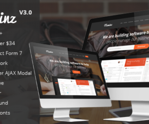 Meminz – Download Software Landing Page Theme