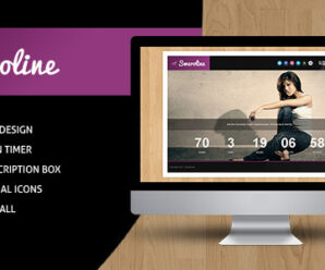 Sweroline – Creative Under Construction Template