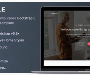 Brizzle – Landing Page Template