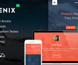 Phoenix – Responsive Email + Themebuilder Access