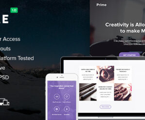 Prime + 10 Notify Templates & Themebuilder