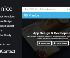 Manice – Responsive Email + Themebuilder Access