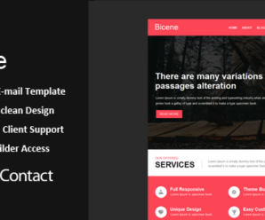 Bicene – Responsive Email + Themebuilder Access