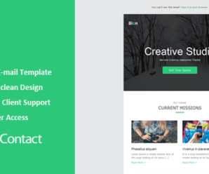 Bion – Responsive Email + Themebuilder Access