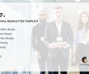 Cromo Corporate Email Newsletter Template