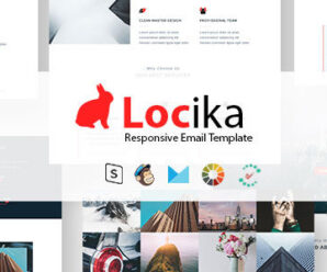 Locika – Responsive Email Template