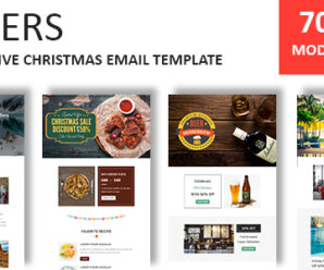 Offers – Responsive Christmas Email Newsletter Template with Stampready Builder Access