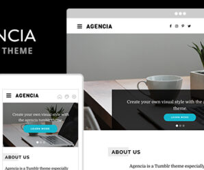 Agencia Tumblr Theme