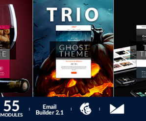 Trio Email Template + Online Emailbuilder 2.1