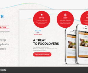 D’lite Responsive HTML Landing Page Template