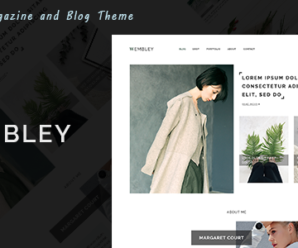 Wembley – Magazine and Blog HubSpot Theme